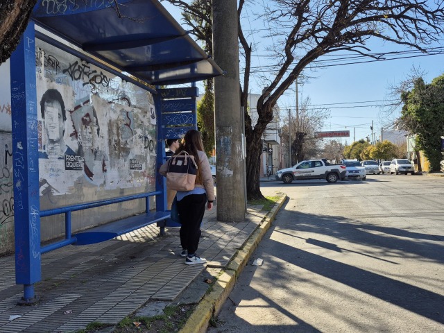 El domingo el transporte pblico ser gratuito